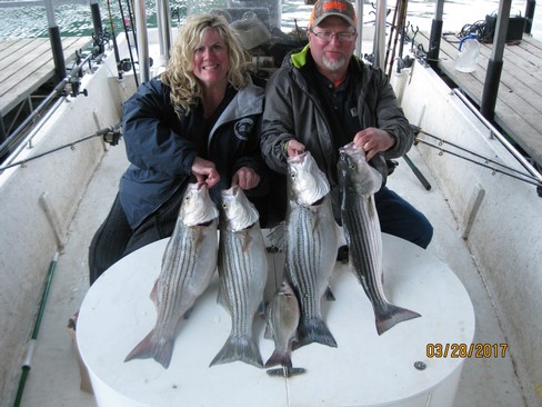 Nice Striped Bass